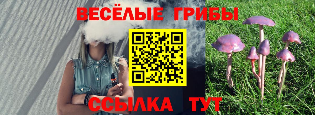 Галлюциногенные грибы прущие грибы  Вход с VPN  где купить наркоту  Астрахань  Псилоцибиновые грибы MAGIC MUSHROOMS 