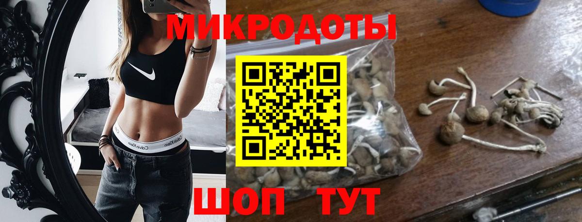Галлюциногенные грибы Psilocybe Астрахань